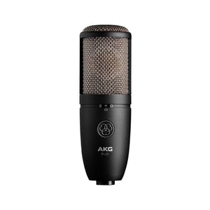 AKG P420 High Performance Dual Capsule True Condenser Microphone