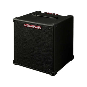 Ibanez Promethean P20 20w 1x8inch Combo Bass Amplifier