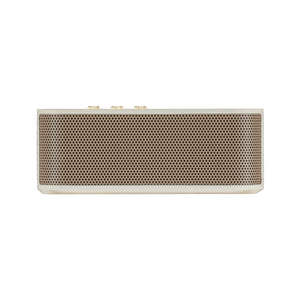 Roland Bluetooth Speaker with Instrument Input