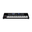 Roland E-A7 Expandable Arranger Keyboard