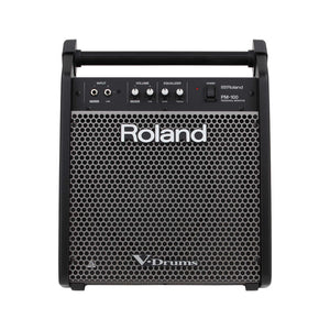 Roland PM-100 80 watt 1x10" Personal Drum Monitor