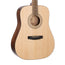 Cort Earth Pack Acoustic Guitar Package, Open Pore