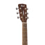 Cort Earth Pack Acoustic Guitar Package, Open Pore