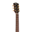 Cort Gold-D6-NAT Dreadnought Acoustic Guitar w/Case, Natural