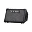 Roland Cube Street EX Amplifier